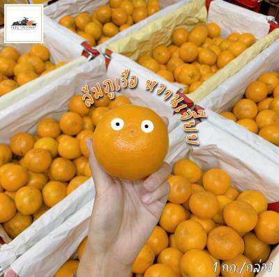 ส้มภูเรือ 🍊✨  ลูกใหญ่ เบอร์ 6 (3 กิโล ) หวานเจี๊ยบๆ ตรงมาจากสวนจ้าา ช่วงนี้ทานส้มเพิ่มวิตามินซีให้กับร่างกายกันเถอะ!