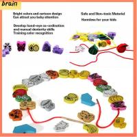 BRAIN สีสัน ของเล่นปัก การเรียนรู้และการศึกษา DIY ร้อยลูกปัด บล็อกไม้ สัตว์/ผลไม้/ตัวอักษร/ตัวเลข เกมทำเกลียว