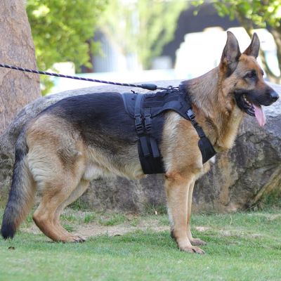 （PAPI PET）สายจูงสุนัขผ้าอ๊อกซ์ฟอร์ดเสื้อผ้าสำหรับสัตว์เลี้ยงสบายสายจูงสุนัขสุนัขขนาดกลางขนาดใหญ่ยึดติดแน่น