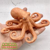 Animal Kingdom - โมเดล Octopus ปลาหมึกยักษ์ ขนาด 12.00 CM (จากสงขลา)