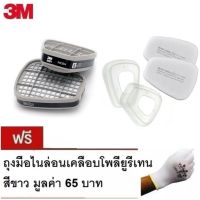 3M ชุดตลับกรอง 6001 ฟิลเตอ์ 5N11x2 ฝาครอบ501x2 แถมถุงมือ PU