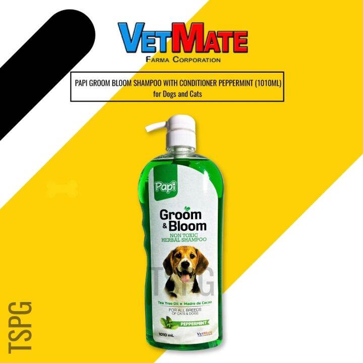 Groom 1000ML Anti Tick and Flea / Mange Shampoo for dogs Cats | Lazada PH