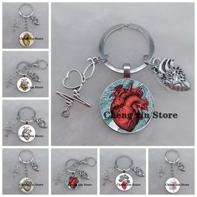 Heart pendant keychain medical anatomical heart cabochon glass keychain  used for doctors and nurses to pack chain jewelry gifts Key Chains