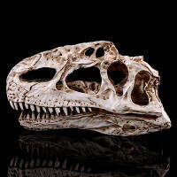 JAPAN โมเดล หัวกะโหลก ไดโนเสาร์ Dinosaur สุดโหด วัสดุ เรซิ่น Resin กะโหลกผี Skull ตกแต่งบ้าน ปาร์ตี้ฮาโลวีน Halloween โครงกระดูก หัวกะโหลกจำลอง ของขวัญ Gift  Limited edition ของสะสมคอลเลคชั่นพิเศษ Collection