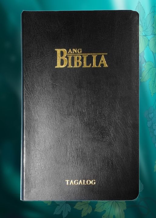 GAYO Ang Biblia Tagalog KJV Flex Cover Gold Edge (1982) | Lazada PH