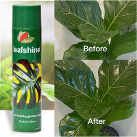 FLOREACA LEAFSHINE 600ML ใช้ฉีดพ้นเพื่อเคลือบใบไม้ ให้ดูมันเงา ไม่เฉารักษาใบ