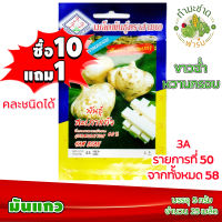 (ซื้อ10แถม1) เมล็ดพันธุ์ มันแกว Yam Bean ประมาณ 25เมล็ด 3A สามเอ ผักสวนครัว เมล็ดพันธุ์พืช เมล็ดผัก เม็ดผัก พืชผัก