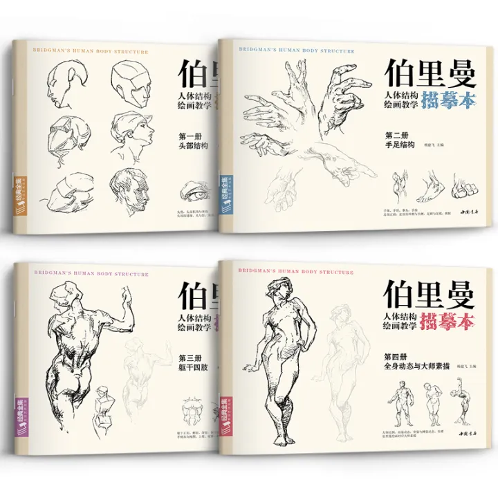 Berman's Teaching Description Of Human Body Structure [4 Volumes ...