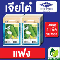 ผักซอง เจียไต๋ CT15 เมล็ดพันธุ์ พันธุ์ผัก แฟง บรรจุแพ็คล่ะ 10 ซอง ราคา 70 บาท