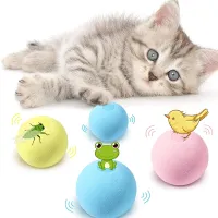 Smart Cat Toys Interactive Ball Catnip Cat Training Sounding Toy Dog Cats Squeak Gravity Ball for Puppy Kitten Playing Toys