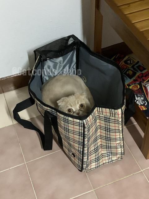 กระเป๋าใส่แมว-กระเป๋าใส่สุนัข-กระเป๋าสัตว์เลี้ยง-กระเป๋าแมว