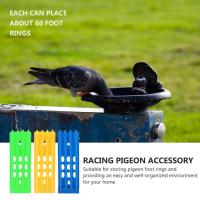 Pigeon Foot Ring Holder 4 Rows Large Space Multicolor Stand Foot Bird Ring Rack Accessories Hanging E7S9