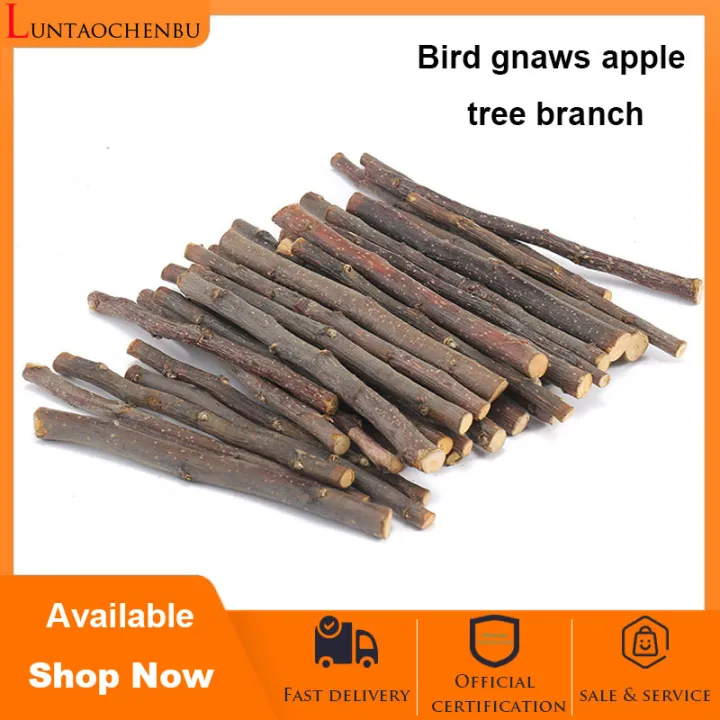 5 sticks DIY Bird Raw Wood Hanging Stand Rack Bird gnaws apple tree