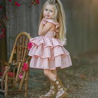 Summer Children‘s Girl Pink Plaid Ruffles Dress Toddler Baby Princess Layered Dress Birthday Wedding Party Dresses Kid Clothes  by Hs2023