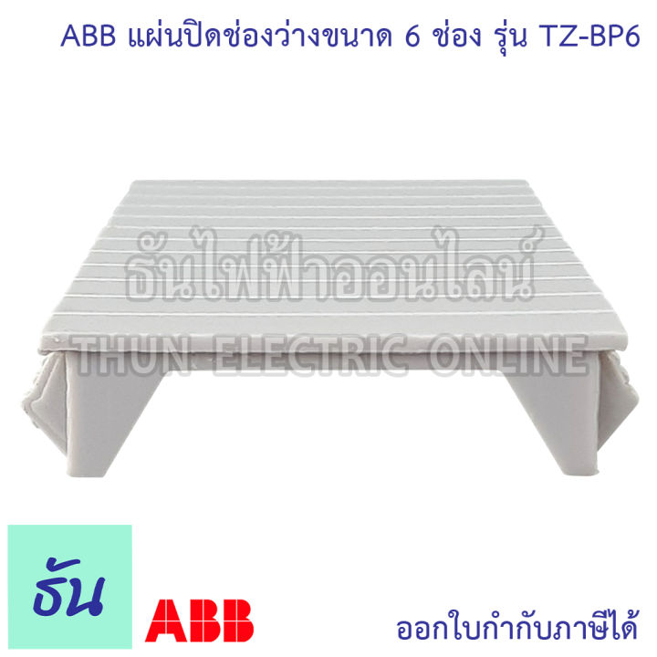 abb-แผ่นปิดช่องว่างขนาด-6-ช่อง-รุ่น-tz-bp6-แผ่นปิดตู้-แผ่นปิด-ช่องว่าง-ฝาอุด-เกาะราง-สำหรับ-ตู้คอนซูมเมอร์-เอบีบี-ฝาปิด-ธันไฟฟ้า