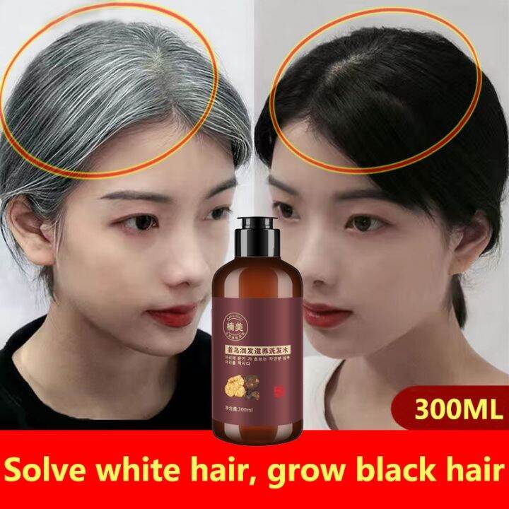 Black Hair Shampoo Herbal Natural Polygonum Multiflorum Hair Blackening Shampoo white hair turns
