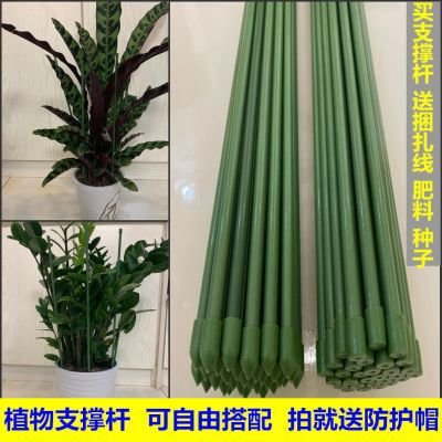 [COD] support package plastic cucumber tomato climbing vine rod plant