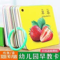 【CW】 0-6 Years Old Baby Children  39;s Educational Tear Not Rotten Early Education Card Enlightenment Books Knowledge