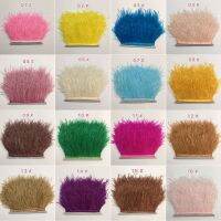 10Yards Natural Ostrich Feather Trims Ribbon Length 10-15cm Feather Trim Fringe DIY Costumes Sewing Clothing Accessories