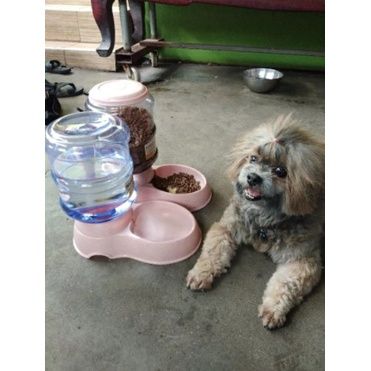 ส่งฟรี-ที่ให้น้ำหมาแมว-ที่ให้อาหารหมาแมว-ขนาดใหญ่-3-5-ลิตรสะดวกต่อการใช้งานและทำความสะอาด-ที่ให้อาหารอัตโนมัติ