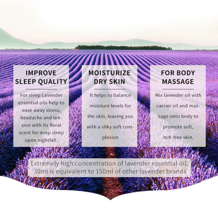 Lanthome sleep essential oil soothes insomnia and sleep aid plant sleep