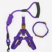 Dog leash Nylon Pet Leash for dog &amp; cat Running or Training Collar and Harness Leashes