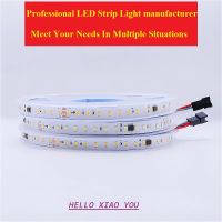 24V Running Water LED Strip Flowing Light Wireless Controller Flexible Lamp Ribbon Waterproof Horse Racing Magic Led Strip Light LED Strip Lighting