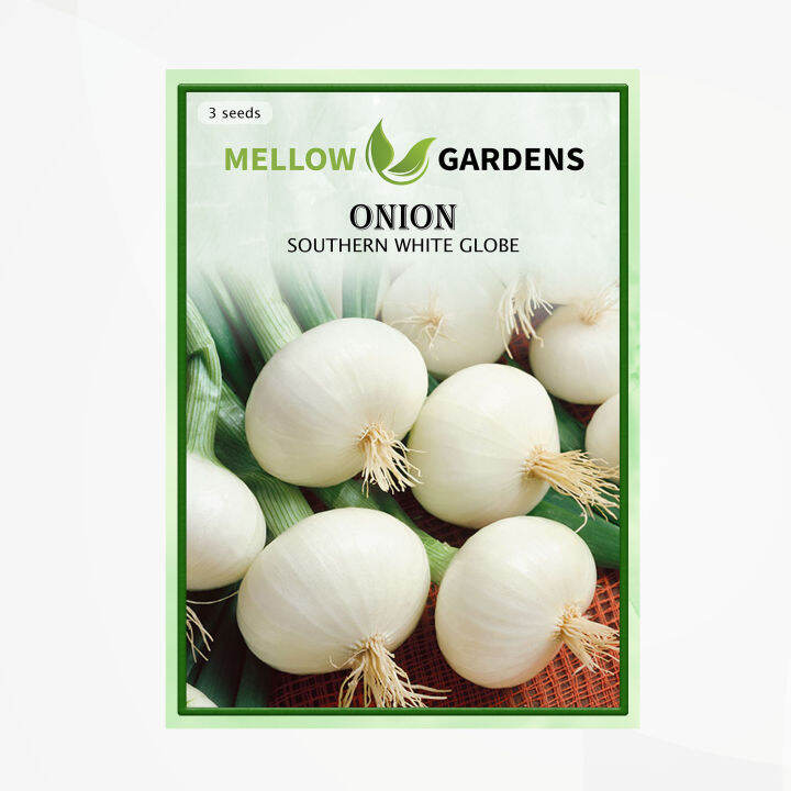 Southern White Globe Onion Seeds | Lazada PH