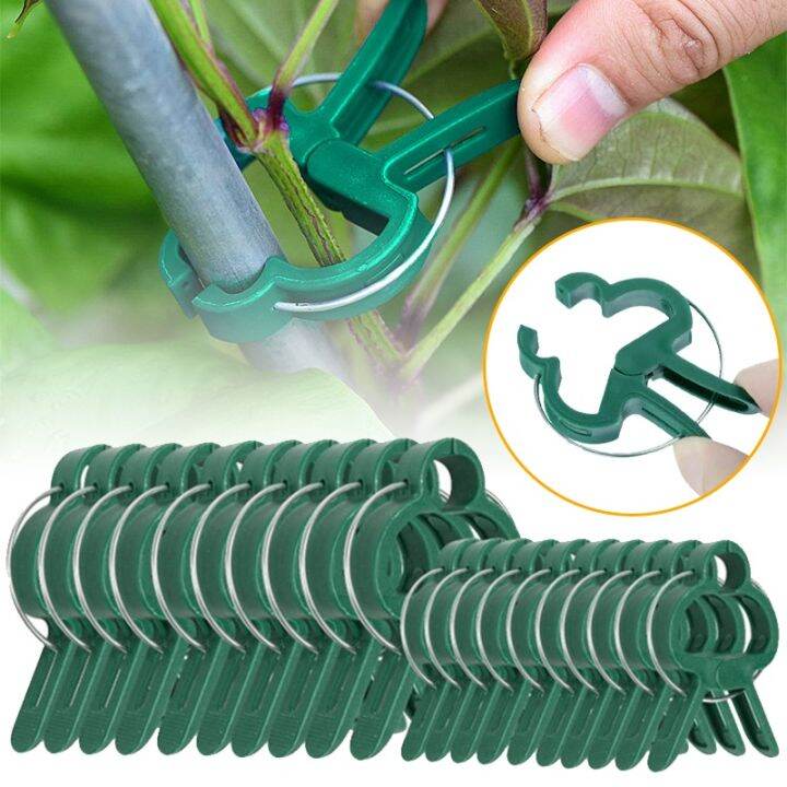 Fastener Greenhouse Bracket Pole Fixed Clamp Plants Flower Seedling ...