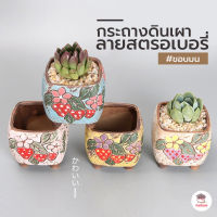 กระถางต้นไม้ ลายสตรอเบอรี่ ขอบมน กระถางดินเผาเคลือบสี ไม้อวบน้ำ กุหลาบหิน cactus&amp;succulentหลากหลายสายพันธ์