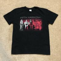 Gildan เสื้อยืดผ้าฝ้าย แบบนิ่ม ลาย Fifth Harmony Summer Tour 727 FBnadh15HHnjpm35 สําหรับผู้ใหญ่