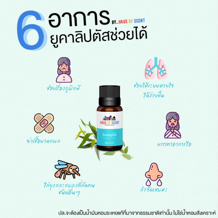 3-อันดับขายดี-น้ำมันหอมระเหย-essential-oil-น้ำหอมใส่เครื่องพ่น-น้ำหอมในบ้าน-น้ำหอมเตาอโรม่า-ยูคาลิปตัส-eucalyptus-เปปเปอร์มินต์-peppermint-ลาเวนเดอร์-lavender-haus-of-scent