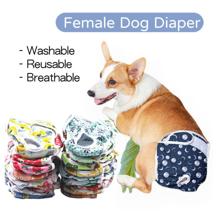 Pet Wonderland Waterproof Female Dog Diaper Physiological Diaper Reusable Pet Underwear Leak