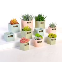 Mini Cement Flower Pot For Green Plant Breathable Succulents Flowerpot Decorative Pot Desktop Ornament Home Garden Pots Planters