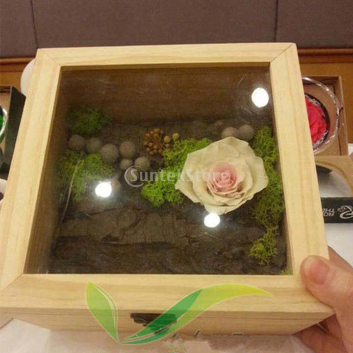 wdclever-natural-plain-wooden-box-unpainted-wood-storage-case-glass-lid