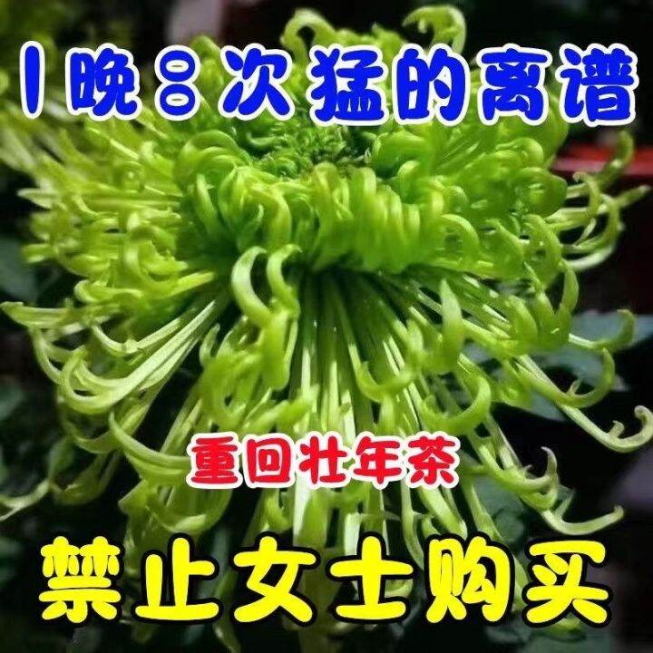 Eucommia male flower ginseng tea soaked in water authentic tonifying ...