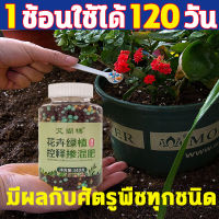 ?ดีกว่าสำหรับดินไทย?FM ปุ๋ย 300g ปุ๋ยสูตร ปุ๋ยเกล็ดทางใบ สารอาหารที่คงอยู่นานถึง 40 วัน สารอาหารที่สมดุลของพืช รากที่แข็งแรง เชี่ยวชาญ โตเร็วมาก ดอกไม้สวยกว่า ผลไม้มีขนาดใหญ่ อ่อนโยน ไม่ทำร้ายราก ปุ๋ยบำรุงต้นใบ ปุ๋ยเร่งโตเร็ว ปุ๋ยน้ำทางใบ ปุ๋ยเคมี