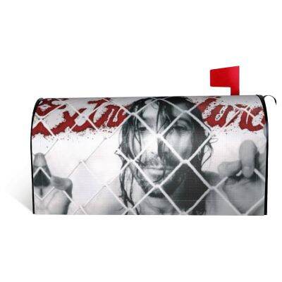 Extremoduro Publicacion 2011 Discografica Mailbox Cover Novelty Postbox Funny Joke Rock correspondence