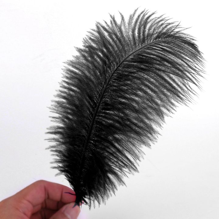 20-x-natural-ostrich-25-30-cm-black-party-decoration