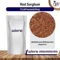 ฟ่างแดงเม็ดใหญ่ Red Dari อาหารนก กระต่าย หนู กระต่าย กระรอก ชูก้า และสัตว์ฟันแทะ (แบ่งขาย 250G / 500G / 1KG)