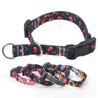 Retractable Pet Collar Leash Explosion-proof P Collar Color Collar Traction Rope Small And Medium-sized Dogs Personalized