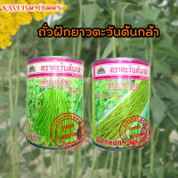 ถั่วฝักยาวตะวันต้นกล้า สุขุมวิท,มังกรหยกเบอร์9 เมล็ดพันธุ์ 500 ก.