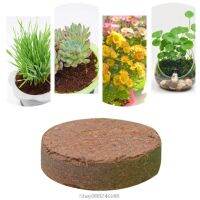 【HOT SALE】 PETS MART mall สัตว์เลื้อยคลาน Terrariums ปลาซัพพลายเส้นใยมะพร้าวธรรมชาติพื้นผิวดิน Essentials S18 20 Dropship