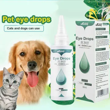 Best eye drops outlet for cats