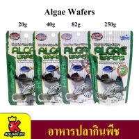 Hikari Algae Wafers อาหารสำหรับปลาพื้นตู้ และปลาทะเล สูตรผสมสาหร่าย ( 20g. / 40g. / 82g. / 250g. )