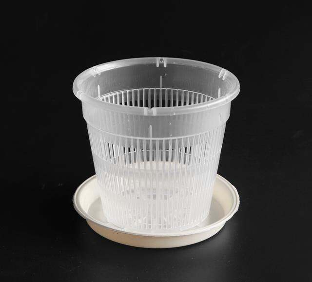 cc-root-controlled-transparent-flowerpot-for-cattleya-planting-with-stomata-home-decoration-plastic