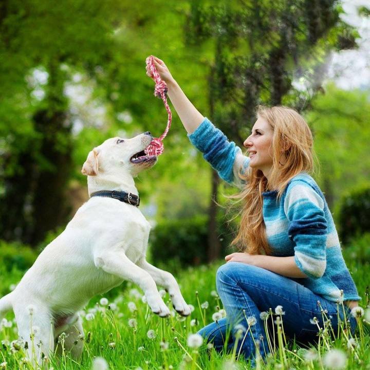 ของเล่นสุนัข-ห่วงชักเย่อเส้นใหญ่-เชือกดึงเล่นกับสุนัข-สำหรับสุนัขทุกวัย-ทุกพันธ์