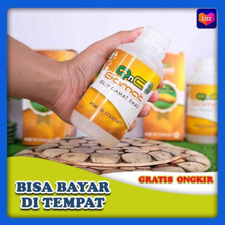 Ramuan 100% HERBAL ALAMI Qnc Jelly Gamat Obat Patah Tulang, Kaku ...