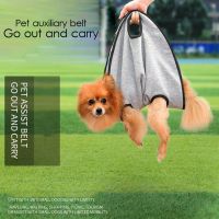 Small Dogs Carrier Bag Dog Backpack Puppy Cat Shoulder Bags Outdoor Travel Handbag Slings Go Out and Carry Product