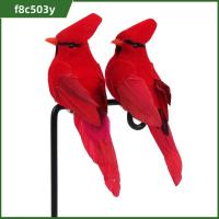 F8C503Y 4PCS 13เซนติเมตร 4เซนติเมตร 5เซนติเมตร แบบจำลองนกจำลอง ขนโฟม สีแดงเเดง รูปปั้นนกแก้วเทียม ของขวัญสำหรับเด็ก ของตกแต่งบ้าน นกปลอมพร้อมคลิป ในร่มกลางแจ้ง